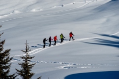 Schneeschuhwandern